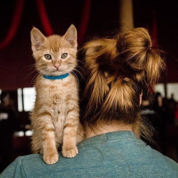 Meet your Posher, Stephanie - Picture 2 of 2